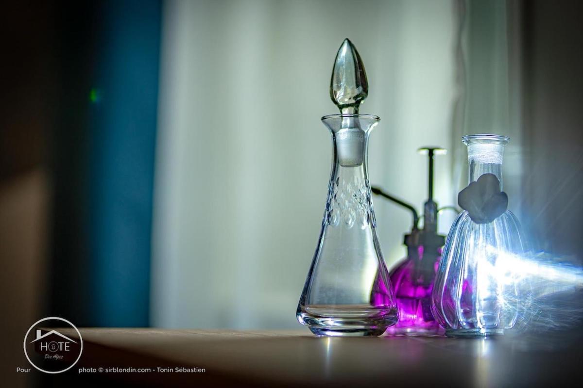 Appartement Romantic Bellevue Et Parking Chambéry
